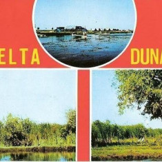 CP200-60 DELTA DUNARII -carte postala, circulata 1980 -starea care se vede