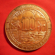 Placheta 100 Ani -Institut Meteorologic ,bronz , d=6 cm