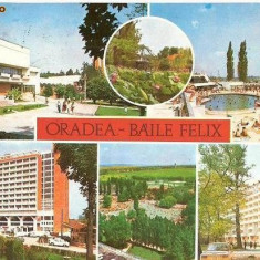 CP201-46 Oradea -Baile Felix -carte postala, circulata 1979 -starea care se vede