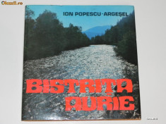 ION POPESCU-ARGESEL - BISTRITA AURIE. ALBUM foto