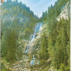 CP201-90 Judetul Maramures, Muntii Rodnei: Cascada cailor -carte postala, necirculata -starea care se vede