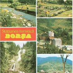 CP201-97 Statiunea turistica Borsa (jud. Maramures) (stema) -carte postala, necirculata -starea care se vede