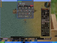 Metin2 HACK DE PESCUIT foto