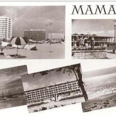 CP202-82 Mamaia -RPR -carte postala, circulata 1962 -starea care se vede