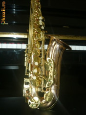 saxofon Parrot foto