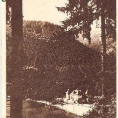 CP202-69 Tusnad -RPR -sepia -carte postala, circulata 1950 -starea care se vede