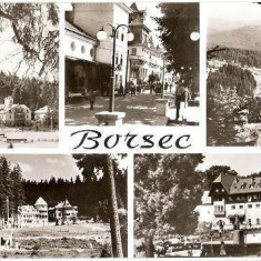 CP202-42 Borsec -carte postala, circulata 1966 -starea care se vede