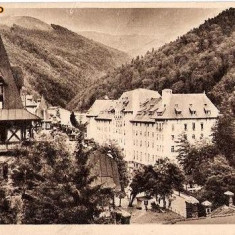 CP202-70 Sinaia -Vedere -RPR -sepia -carte postala, circulata 1955 -starea care se vede