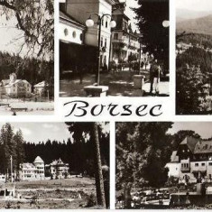 CP203-84 Borsec -carte postala, circulata 1968 -starea care se vede