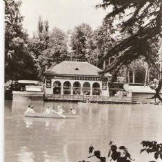 CP203-56 Craiova -Vedere din Parcul poporului -carte postala, circulata 1969 -starea care se vede