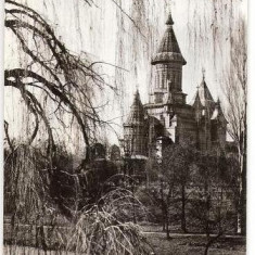 CP203-42 Timisoara -Catedrala Mitropoliei Banatului -carte postala, circulata 1967 catre Petresti, Sebes -starea care se vede