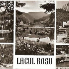 CP203-25 Lacul Rosu -carte postala, circulata 1968 -starea care se vede