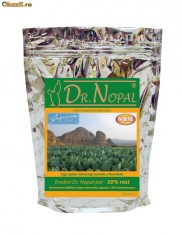 Dr.NOPAL, pulbere de cactus de smochine pur, 100% natural, 330 gr foto