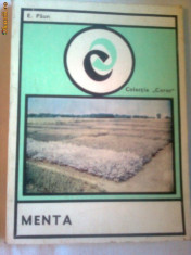 MENTA ~ E.PAUN foto