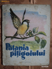 PATANIA PITIGOIULUI - EUGEN B. MARIAN - carte pentru copii foto