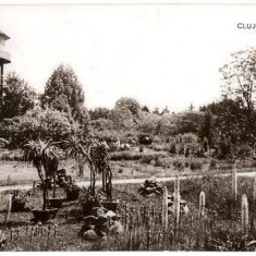 CP204-09 Cluj -Gradina botanica. Turnul de apa -RPR -carte postala, circulata 1961 -starea care se vede