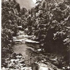 CP204-88 Valea Cernei la Baile Herculane -carte postala, circulata 1972 -starea care se vede