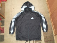 GEACA FOITA.ADIDAS.MARIMEA.S. DIN FAS foto