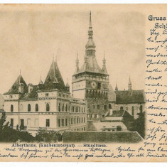 1038 - SIGHISOARA, Mures, The clock tower, Litho - old postcard - used - 1904