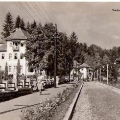 CP205-87 Vedere din Olanesti -RPR -carte postala, circulata 1961 -starea care se vede