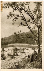 CP205-26 Calimanesti -Valea Oltului -RPR -carte postala, circulata 1955, la Barlad (com Draguseni) -starea care se vede