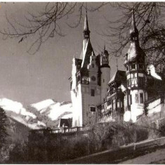 CP205-85 Sinaia -Muzeul Peles -RPR -carte postala, circulata 1957 -starea care se vede