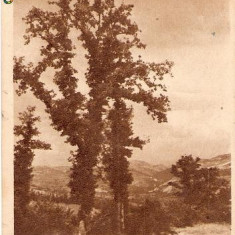 CP205-27 Geoagiu-Bai -Vedere -RPR -carte postala, circulata 1958 ? -starea care se vede