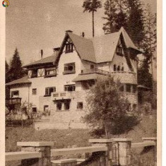 CP205-56 Sinaia -Locuinta muncitoreasca -RPR -carte postala, circulata 1955 -starea care se vede