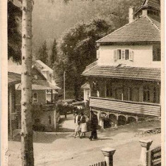 CP205-30 Tusnad -Casa de odihna -RPR -carte postala, circulata 1953 -starea care se vede