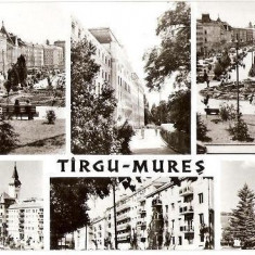 CP206-85 Targu-Mures -carte postala circulata 1969 -starea care se vede