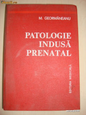 M. GEORMANEANU - PATOLOGIE INDUSA PRENATAL foto