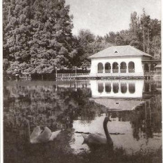 CP206-86 Craiova -Vedere din Parcul poporului -RPR -carte postala circulata 1960 -starea care se vede