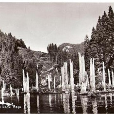 CP206-10 Vedere de la Lacul Rosu -RPR -carte postala, circulata 1961 -starea care se vede