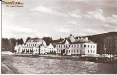 CP206-24 Vatra Dornei -Pe malul Dornei -RPR -carte postala, necirculata -starea care se vede