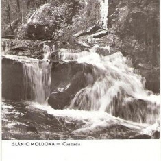 CP206-46 Slanic-Moldova -Cascada -RPR -carte postala circulata 1962 -starea care se vede