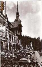 CP206-82 Sinaia -Muzeul ,,Peles&quot; -RPR -carte postala scrisa 1965, dar necirculata -starea care se vede