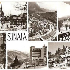 CP207-34 Sinaia -carte postala necirculata -starea care se vede