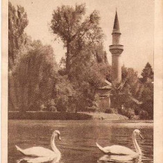 CP207-85 Bucuresti -Vedere din Parcul Libertatii -RPR -sepia -carte postala necirculata -starea care se vede