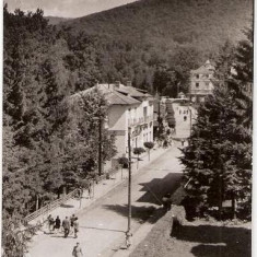 CP207-62 Sovata -Vedere -RPR -carte postala necirculata -starea care se vede