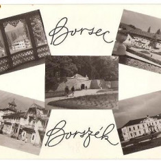 CP207-09 Borsec -Borszek -RPR -carte postala necirculata -starea care se vede