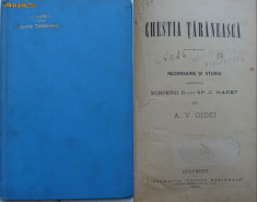 Gidei , Chestia taraneasca , studiu asupra scrierii d-lui Spiru C. Haret , 1905 foto