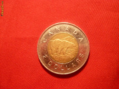 2 Dolari CANADA 1996 ,Urs Alb ,bimetal ,cal.F.Buna foto