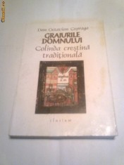 Dan Octavian Cepraga - Graiurile Domnului ~ Colinda crestina traditionala ~ foto
