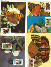 Ilustrata maxima Fauna - insecte, Set 24 maxime, Fluturi, din setul 1991, foto