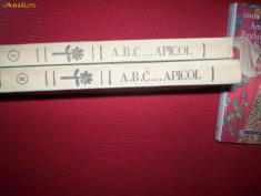 Abc-ul apicol(2 vol)-Hristea/Padurean foto
