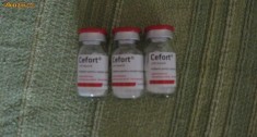 CEFORT foto