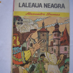 Al.Dumas / Laleaua neagra (ilustratii Iacob Dezideriu),P10