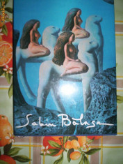 Sabin Balasa(album de pictura)-de MIRCEA DEAC foto