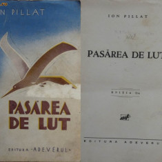 Ion Pillat , Pasarea de lut , 1934