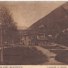 carte postala-BAILE SLANIC-MOLDOVA-cazinoul si aleele principale